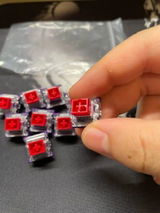 R***o review photo