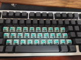 c23wsd t. review photo