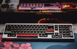 c23wsd t. review photo