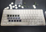 c23wsd t. review photo