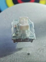 Lucas L. review photo