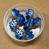 Leopold Sauer review photo