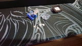 Florencio Johnson review photo