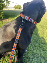 Odie M. review photo
