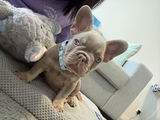 Candice K. review photo