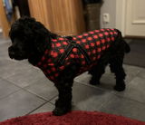 Birgitta review photo