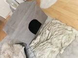 Siri D. review photo