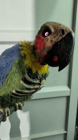Parrots For Patriots review photo