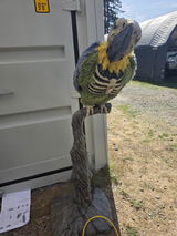 Parrots For Patriots review photo