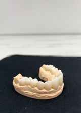 M.S. review photo