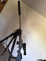 T.P. review photo