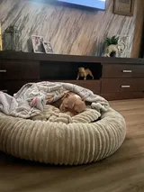 Paco review photo