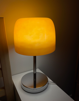 Renate review photo