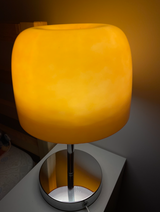 Renate review photo