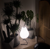 Mellisa review photo