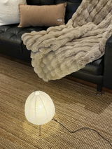 Felicha review photo