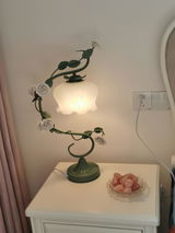 Amelia review photo