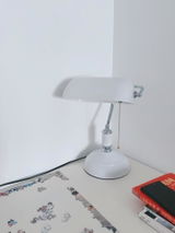 Michael Abramson review photo