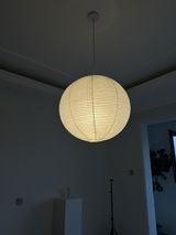 Belisha G review photo