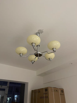 Whitley review photo