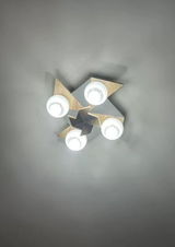 Rainer review photo