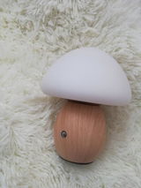 Gression review photo