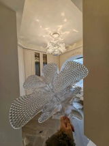 ,Claude review photo
