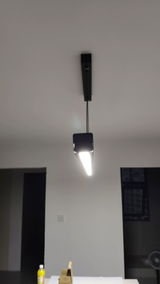 Max review photo