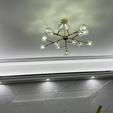 Lily review photo