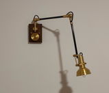 Araceli review photo