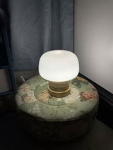 reginald review photo