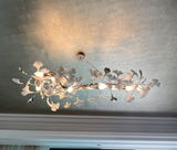 Tricia Hoelzer review photo