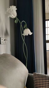 Kevin Murphy review photo