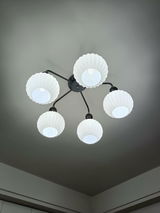 Jim Mazzu review photo
