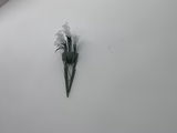 Carol G review photo