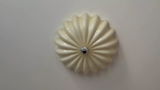 Marissa review photo