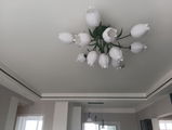 PinkPeony review photo