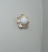 Raviv Rubin review photo