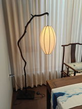 Jose Gil review photo