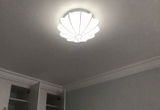 Dalia review photo