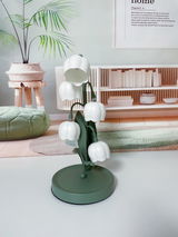 Ann Bailey review photo