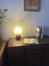 Remedios review photo