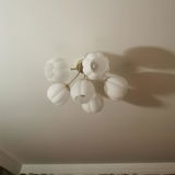 Shanna Filzen review photo