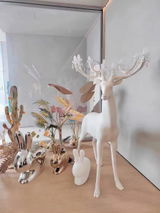 Dori Rosenhan Woollard review photo