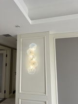 Isabeau Whitman review photo