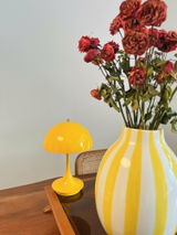Mark Reed review photo