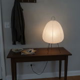 Patrick Rogers review photo