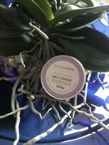 Natural Deo Creme/Relax