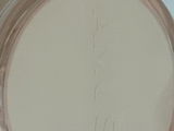 O. review photo
