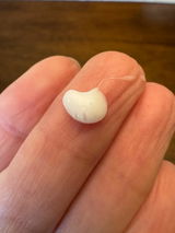 Evonne T. review photo